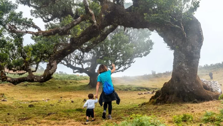 Sosyalleşerek Büyüyen Bebekler | modagirdim Blog