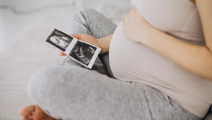 Hamilelik | modagirdim Blog