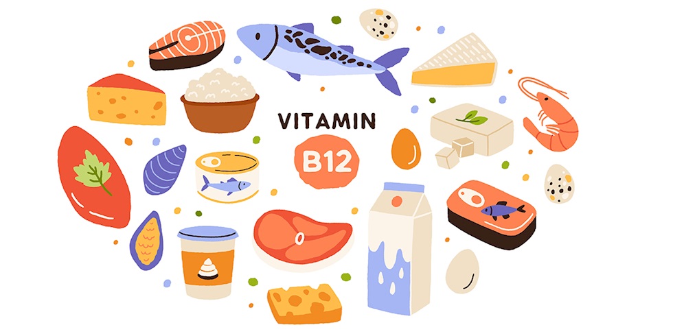 B12 Vitamini Hakkında Bilmeniz Gerekenler