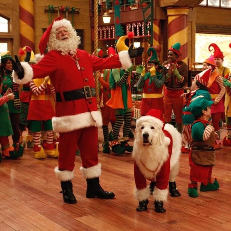 Sevilen oyuncudan acı haber Kanserle mücadelesini kaybetti