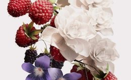 Parfümerinin Yeni Baştan Çıkarma Kodu: Ahududu Notaları