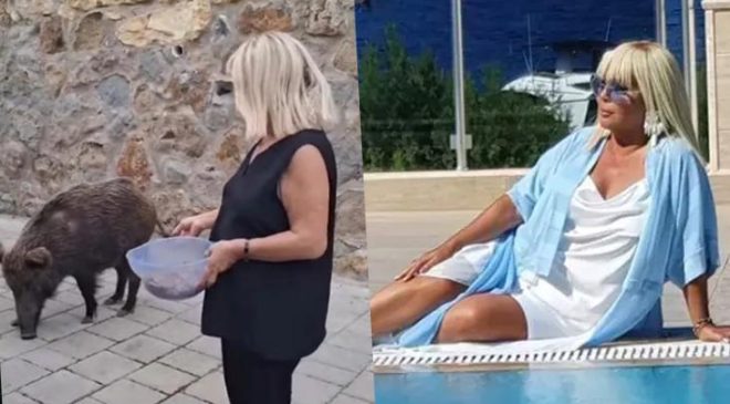 Bodrum’da ilginç anlar: Safiye Soyman domuzu elleriyle besledi!