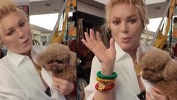 Köpeği AVM’de ortasında tuvalet yaptı iddiası! Semiramis Pekkan’dan açıklama geldi