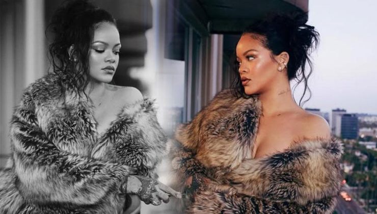 Silahlı saldırı sonrası Rihanna evinin çevresine etten duvar ördürdü