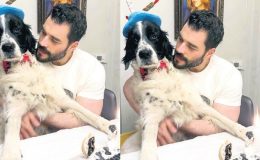 Can dostu için doğum günü