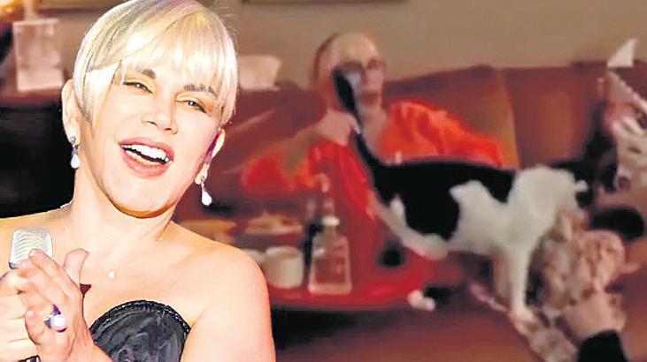 ‘O kupa sana helal!'