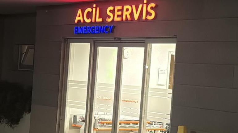 Zülfü Livaneli’nin eşi Ülker Livaneli merdivenden düşerek yaralandı