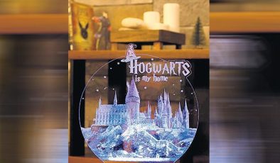 Warner Bros’un taklit ‘Harry Potter’ zaferi